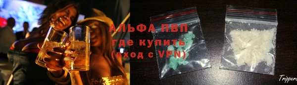 стафф Медвежьегорск