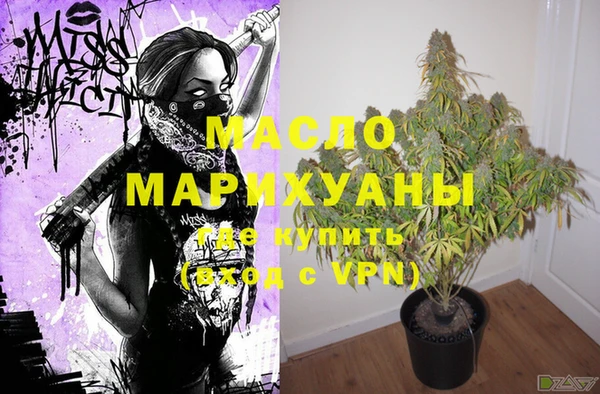 хмурый Мегион