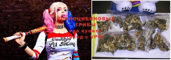 стафф Медвежьегорск