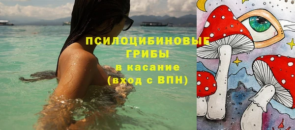 дживик Медногорск