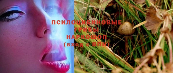 прущие грибы Михайловск